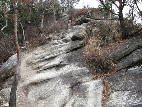20140125hike (172)